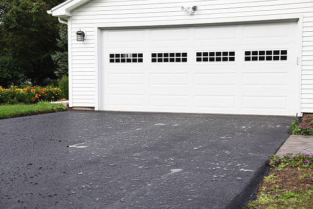 Best Basement Cleanout  in Walden, TN